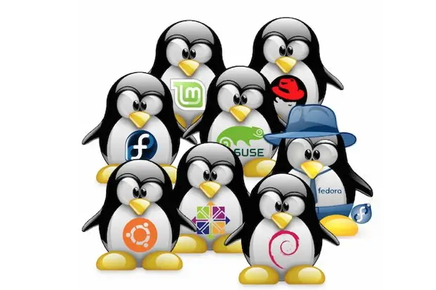 Switching Between Linux Distros with Ease: The Power of a Data Partition